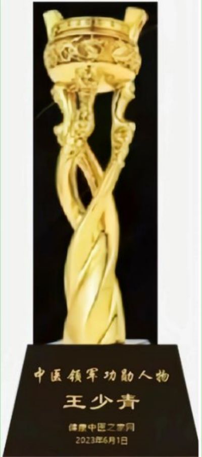 医心向党  踔厉奋进  礼赞七一专访新时代国医大师--王少青