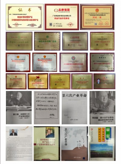 五一特别报道孔岩：以“三农”论述为引，拓富硒食叶草产业新途