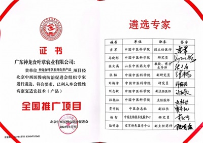 在“农业兴旺、农民安定，则国家统一、社会稳定”的时代强音中，广东神龙食叶草农业有限公司董事长孔岩，紧握习总书记“三农”工作重要论述这把“金钥匙”，全力开拓富硒食叶草产业的广阔天地，为解决粮食安全、食品安全和全民健康问题，推动乡村振兴战略注入了新的活力。