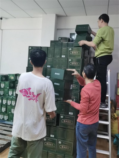 在“农业兴旺、农民安定，则国家统一、社会稳定”的时代强音中，广东神龙食叶草农业有限公司董事长孔岩，紧握习总书记“三农”工作重要论述这把“金钥匙”，全力开拓富硒食叶草产业的广阔天地，为解决粮食安全、食品安全和全民健康问题，推动乡村振兴战略注入了新的活力。