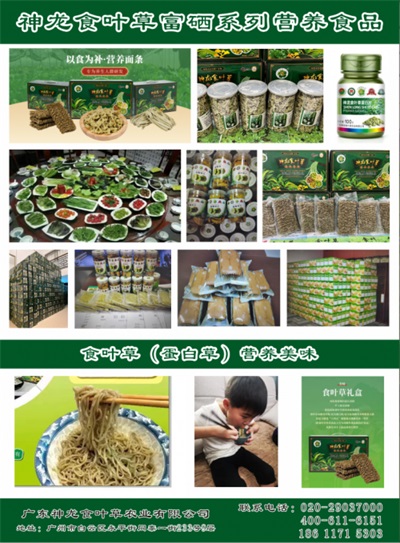 在“农业兴旺、农民安定，则国家统一、社会稳定”的时代强音中，广东神龙食叶草农业有限公司董事长孔岩，紧握习总书记“三农”工作重要论述这把“金钥匙”，全力开拓富硒食叶草产业的广阔天地，为解决粮食安全、食品安全和全民健康问题，推动乡村振兴战略注入了新的活力。