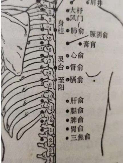 聚焦两会·中医药传承创新：韩礼医师以经方智慧守护人民健康
