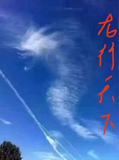 牡丹呈瑞，龙韵凝威：中华民族的精神华章