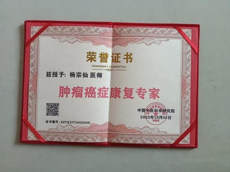 喜迎2026全国两会：杨宗仙——传承岐黄薪火 谱写中医药创新华章