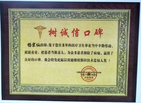 喜迎2026全国两会：杨宗仙——传承岐黄薪火 谱写中医药创新华章